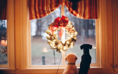 The 5 Ps of relationship security during the holiday season