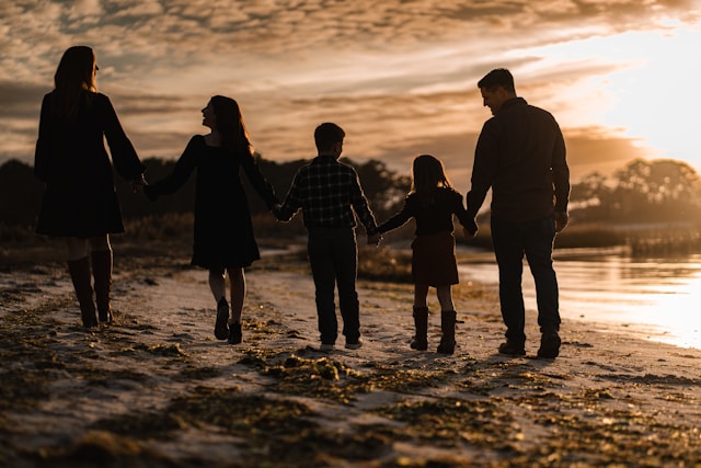 The 5 types of family dynamics