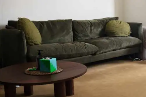 Green therapy couch